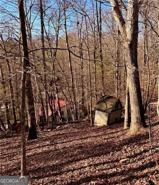 45 7th Street, Ellijay, GA 30540 - #2