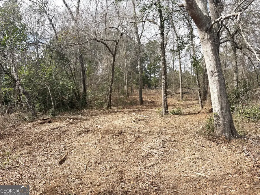 L1 Keysville-boggs Academy Road, Keysville, GA 30816 - #3