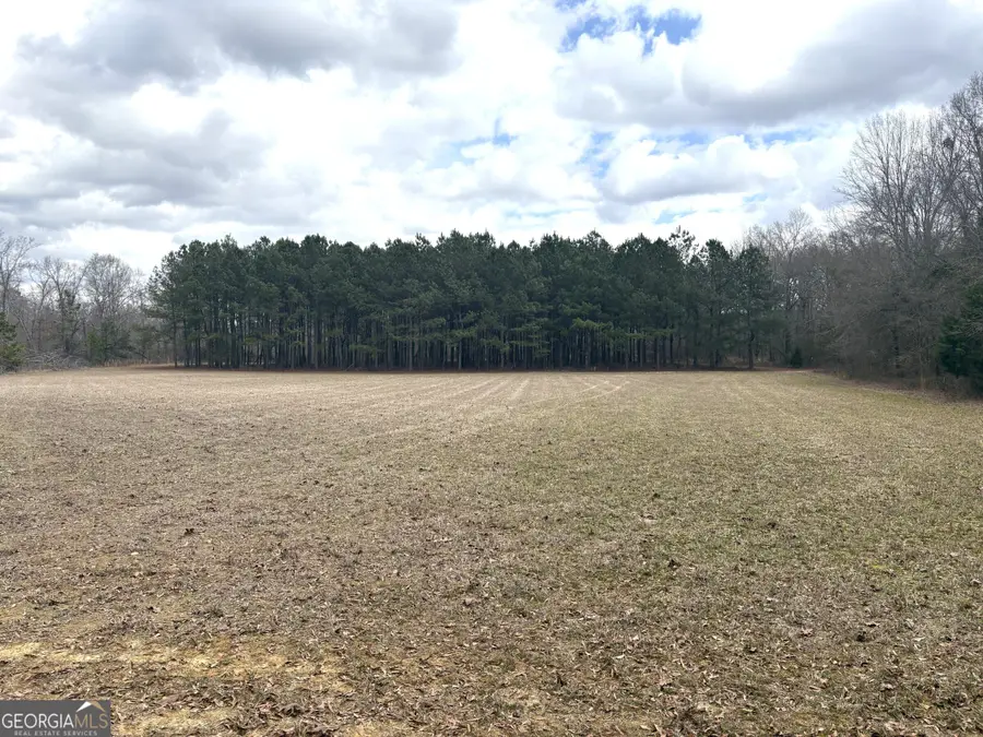 L5 W. Quaker Road, Keysville, GA 30816 - #3