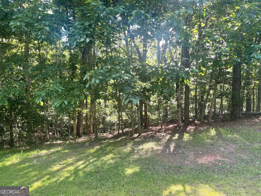 LOT 10 Olivia Lane, Ball Ground, GA 30107 - #2