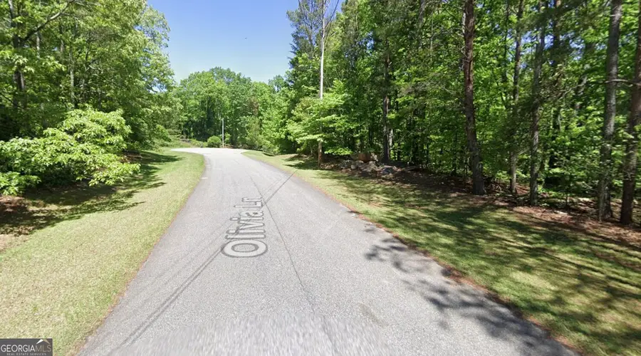 LOT 10 Olivia Lane, Ball Ground, GA 30107 - #3
