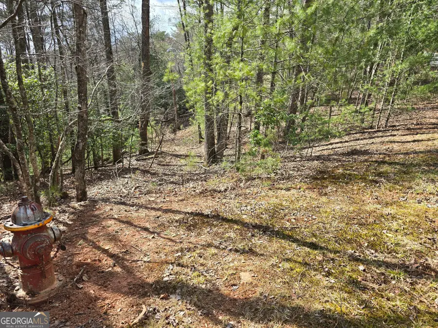 13L Sautee Trail, Sautee Nacoochee, GA 30571 - #3