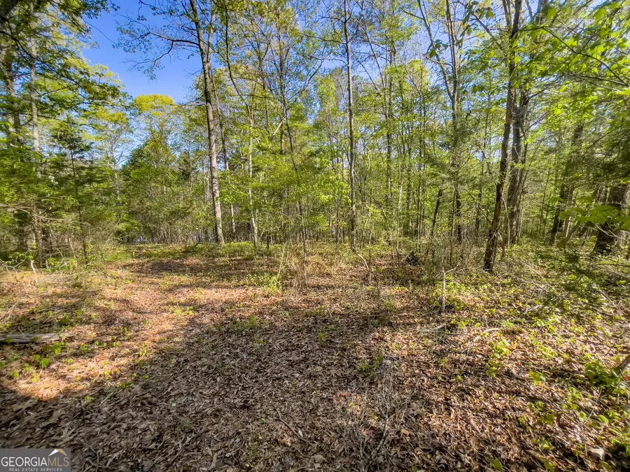 0 June Kemp Road, Aragon, GA 30104 - #2