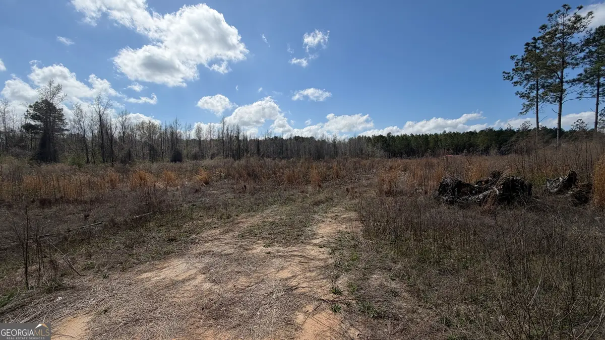 3557 Antioch Church Rd, Eastman, GA 31023 - #1