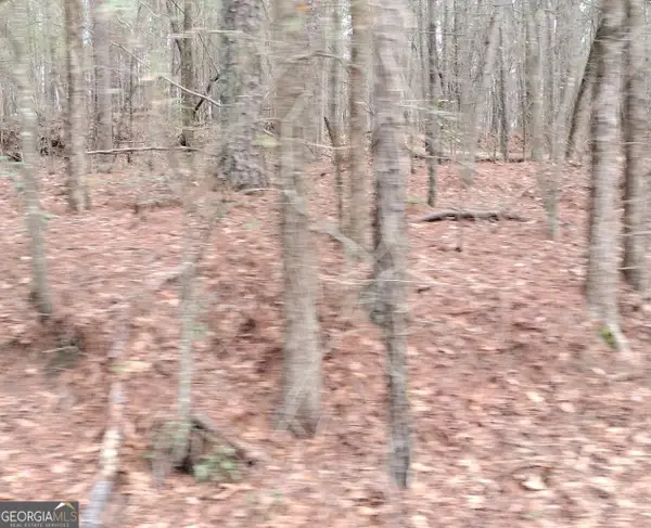 8014 Norris Lake, Snellville, GA 30039