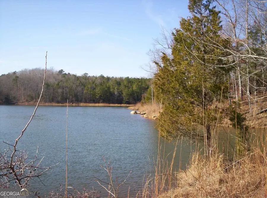 LOT 5 Gregg Shoals Drive, Elberton, GA 30635 - #3