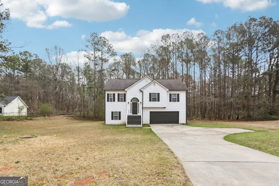 45 Corn Row Court, Newnan, GA 30263 - #2