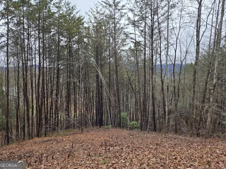 LOT 101 Eagles View Crescent, Hayesville, NC 28904 - #2