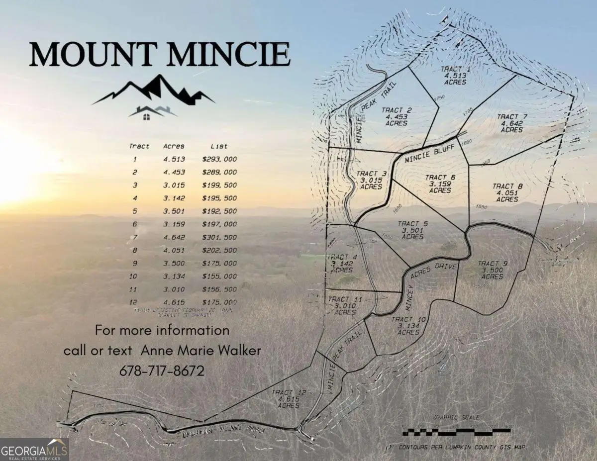 LOT 6 Mount Mincie Road, Murrayville, GA 30564 - #1