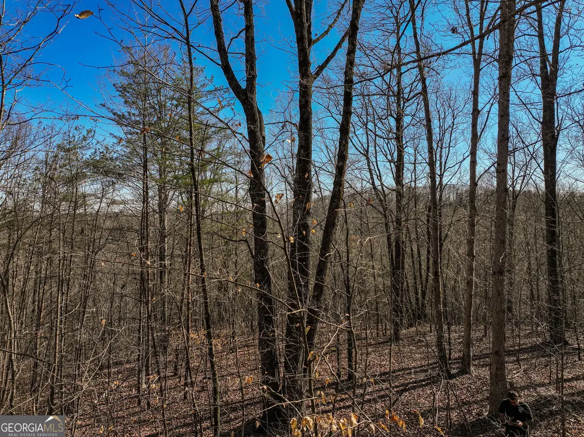 LOT 9 Mount Mincie Road, Murrayville, GA 30564 - #1