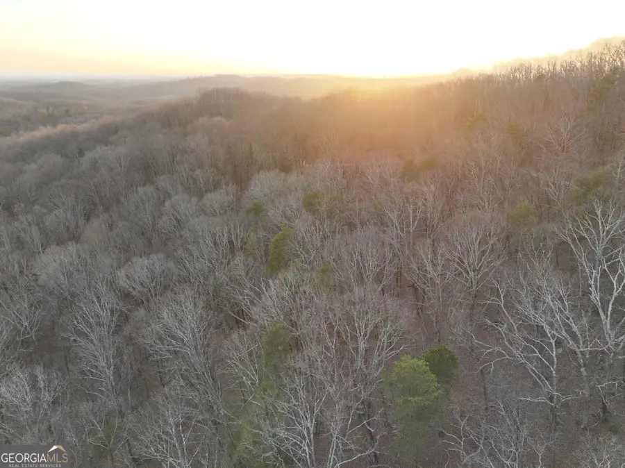 LOT 7 Mount Mincie Road, Murrayville, GA 30564 - #2