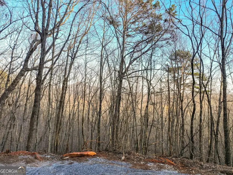 LOT 7 Mount Mincie Road, Murrayville, GA 30564 - #3