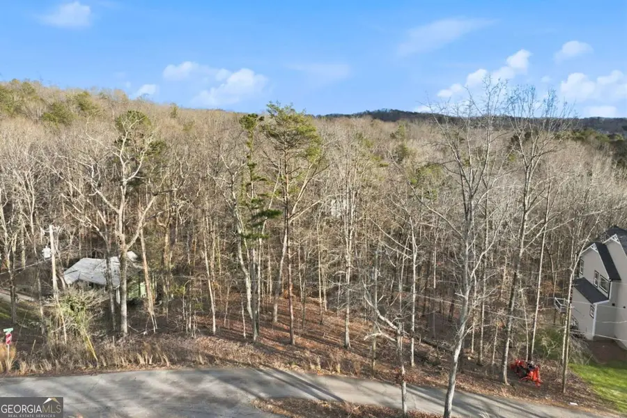 7707 Elm Circle, Murrayville, GA 30564 - #3