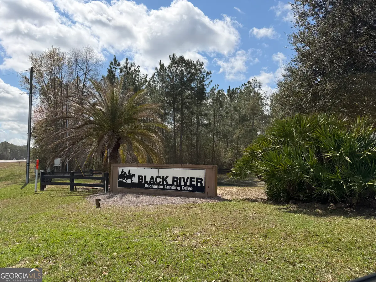 140 Josh And Scott Way, Folkston, GA 31537 - #1