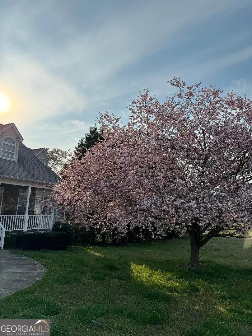 2458 Post Road, Cleveland, GA 30528 - #1