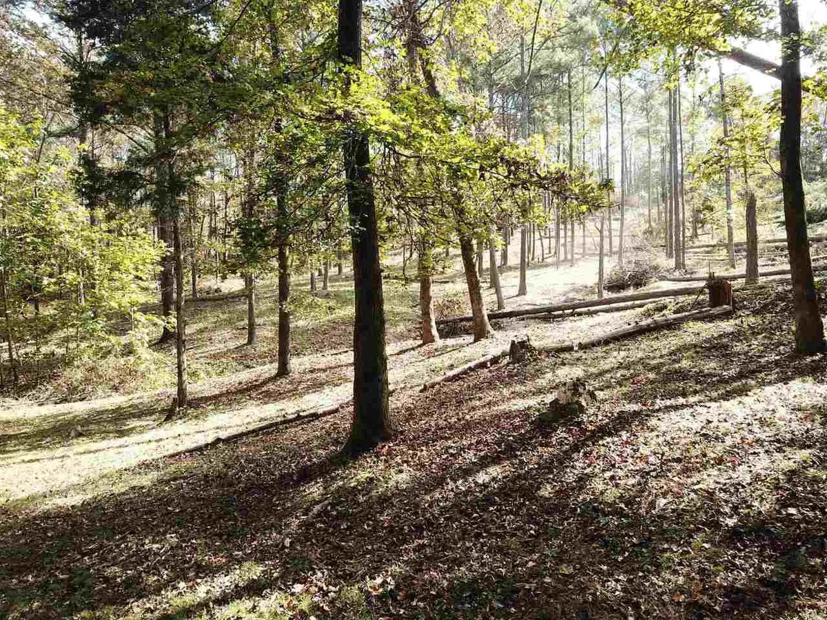 0 Maple Street, Franklin, GA 30217 - #1