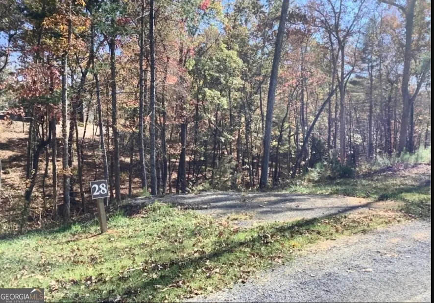 0 Lake Top Lane, Ellijay, GA 30536 - #3