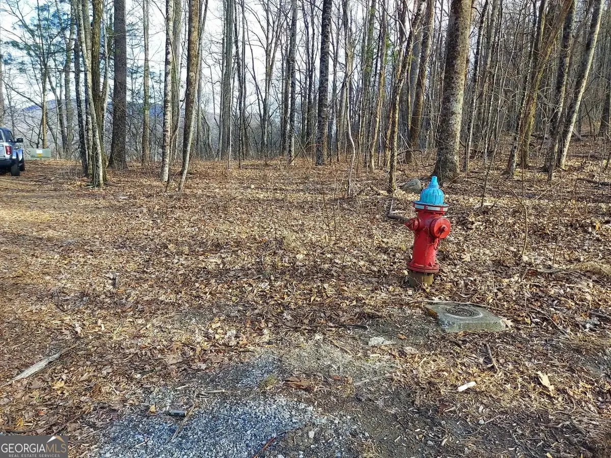 0 LOTS 9 & 9A Wild Bird, Sky Valley, GA 30537 - #1