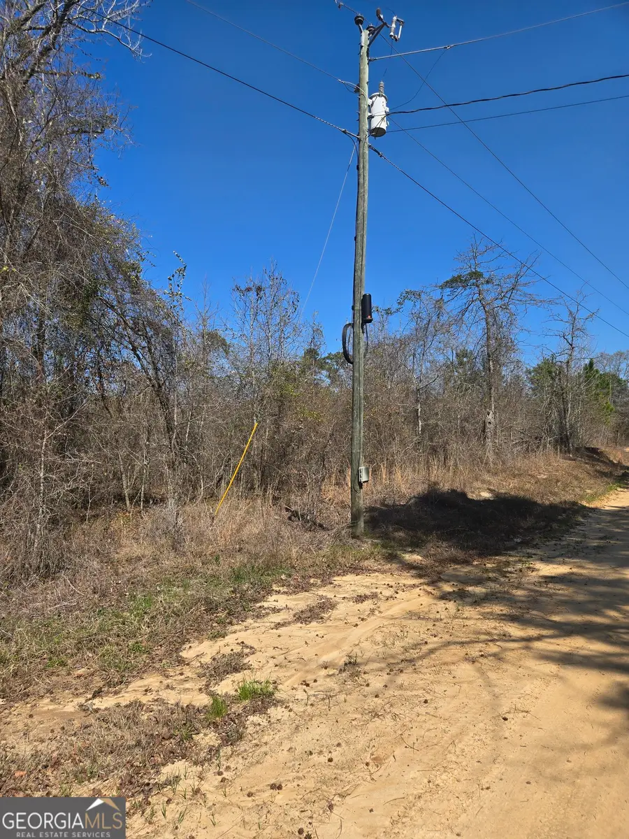 0 Lloyd Hester Road, East Dublin, GA 31027 - #2