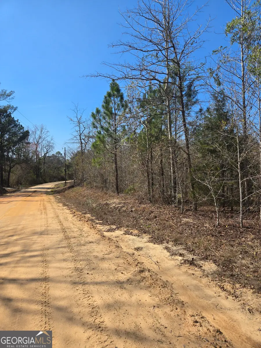 0 Lloyd Hester Road, East Dublin, GA 31027 - #3