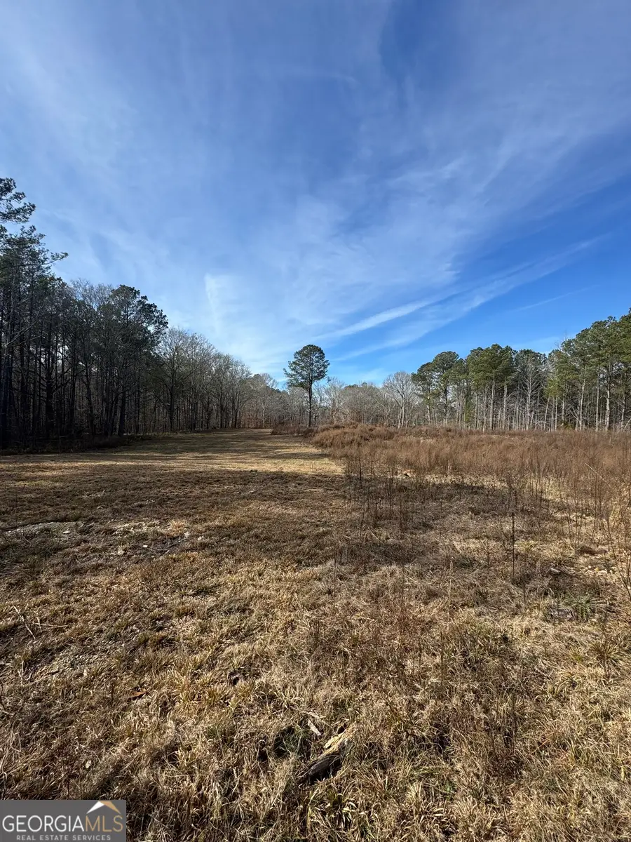 343 Fawn Road, Jackson, GA 30233 - #3