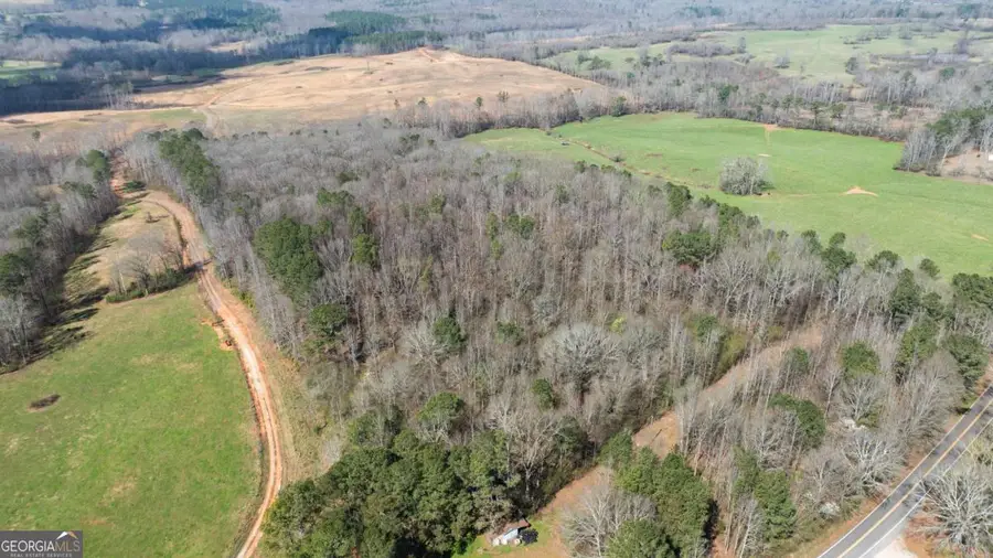 0 Lovvorn Mill Road, Bowdon, GA 30108 - #2