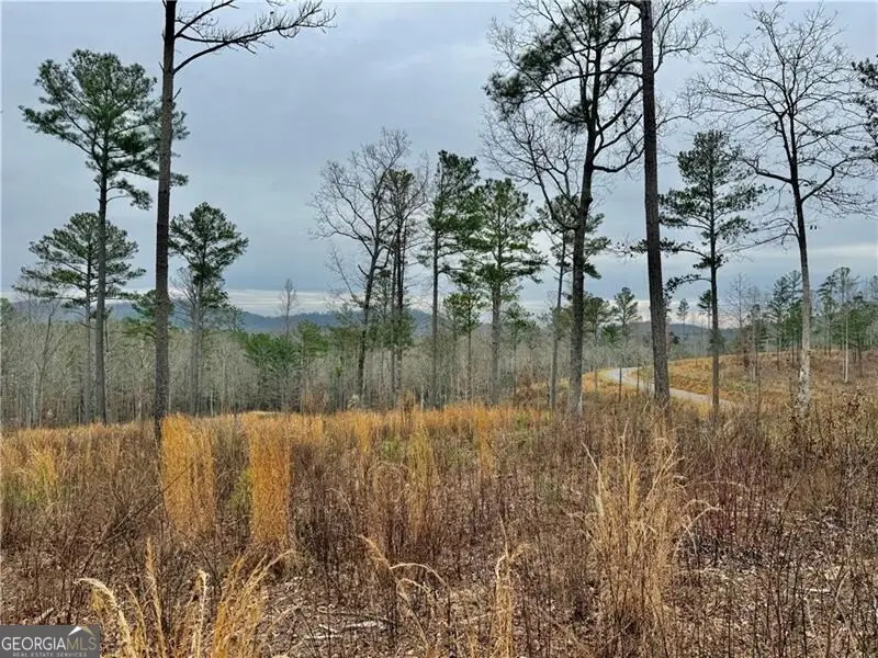 347 Timbercreek Trail, Talking Rock, GA 30175 - #1