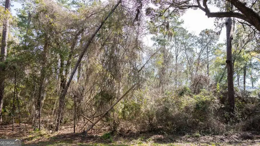 116 Butler Lake Drive, Saint Simons, GA 31522 - #3