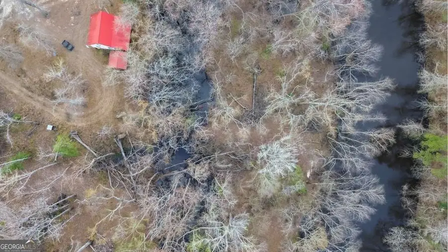 5230 Coleman Bridge Spur Road, Cobbtown, GA 30420 - #2