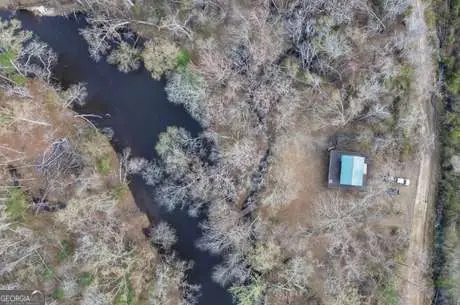 4980 Coleman Bridge Spur Road, Cobbtown, GA 30420 - #1