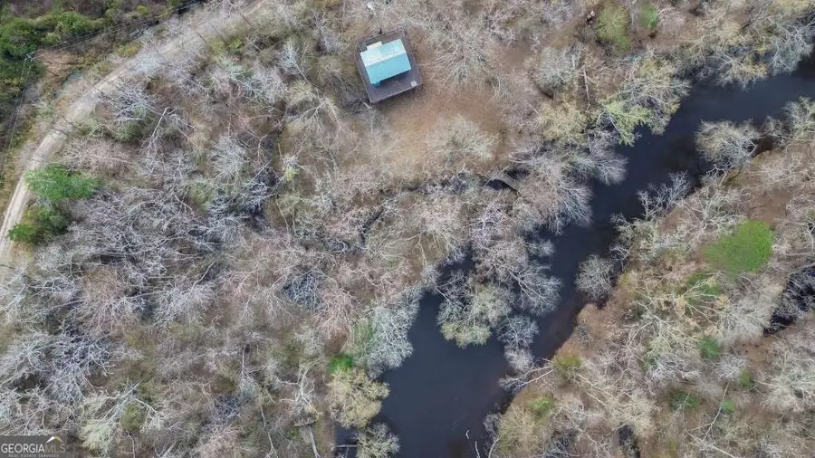 4980 Coleman Bridge Spur Road, Cobbtown, GA 30420 - #3