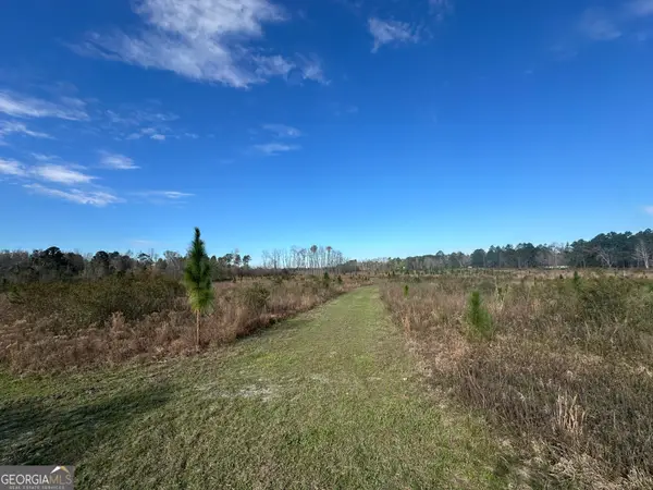 1334 Shady Lane, Sylvania, GA 30467