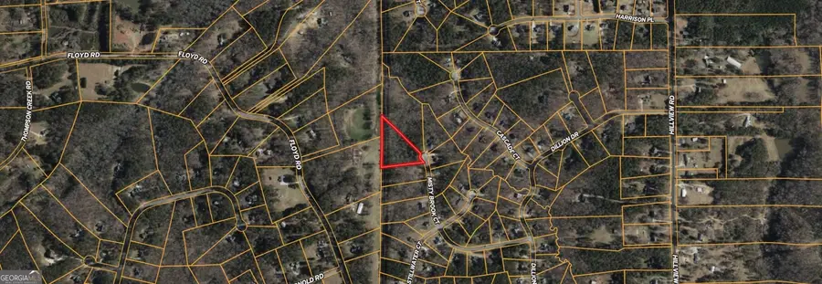 437 Misty Brook Court, Hampton, GA 30228 - #2