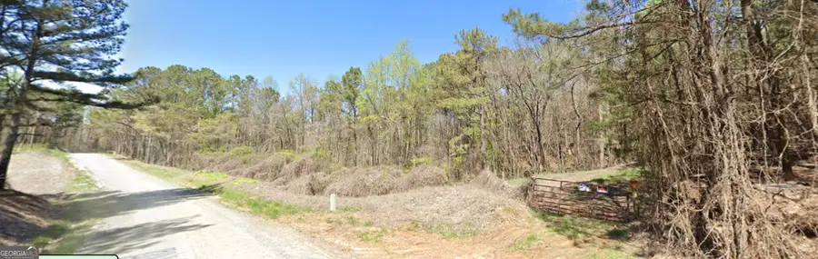 1 EAST Dry Pond Road #LOT 1 EAST, Ranger, GA 30734 - #2
