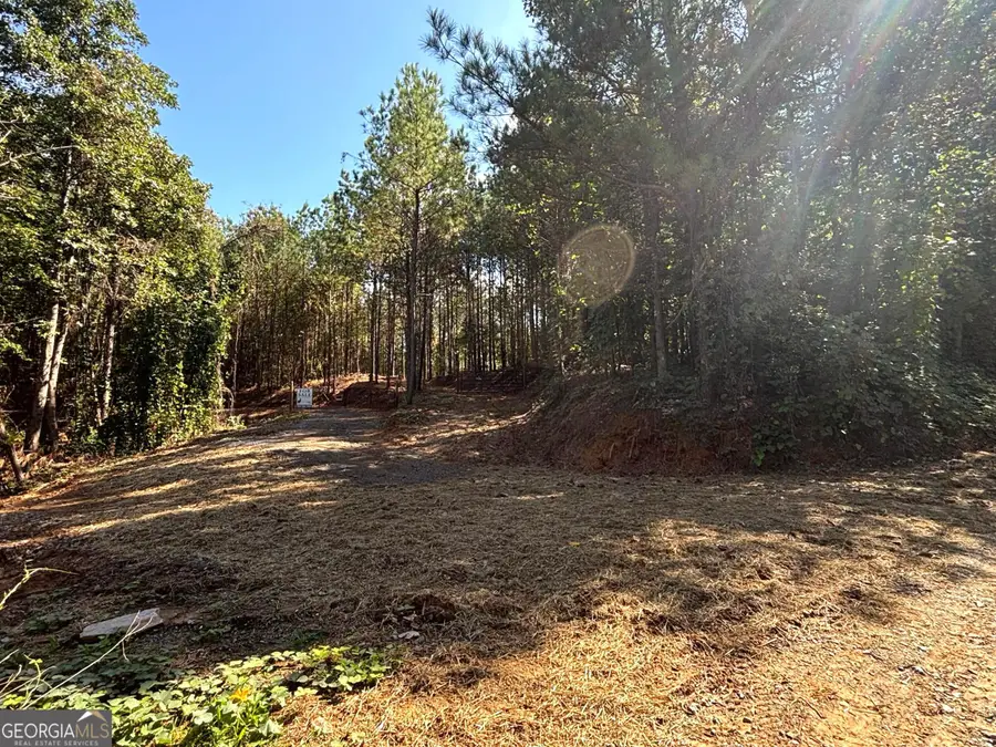 1 EAST Dry Pond Road #LOT 1 EAST, Ranger, GA 30734 - #3