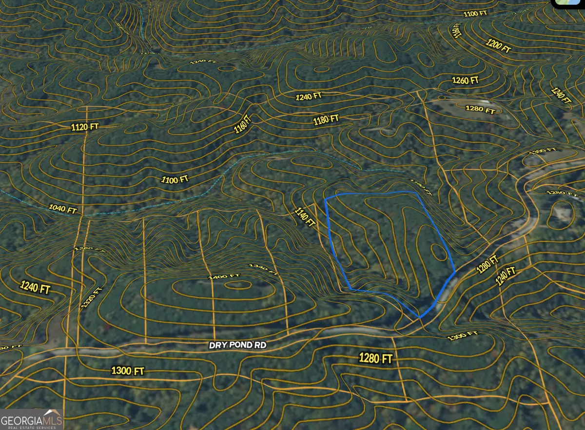 2 WEST Dry Pond Road #LOT 2 WEST, Ranger, GA 30734 - #1