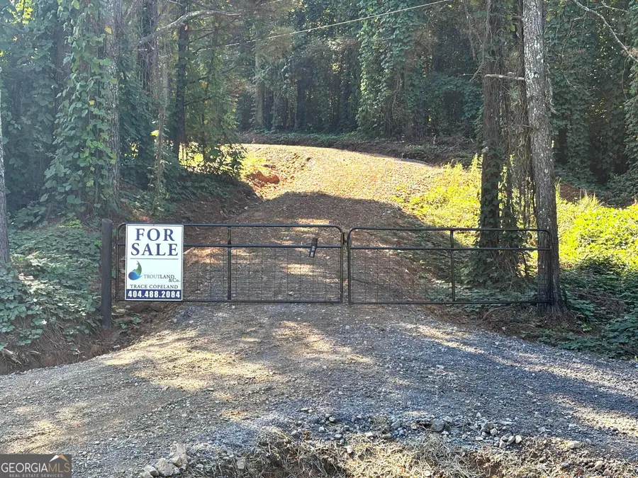 2 WEST Dry Pond Road #LOT 2 WEST, Ranger, GA 30734 - #3