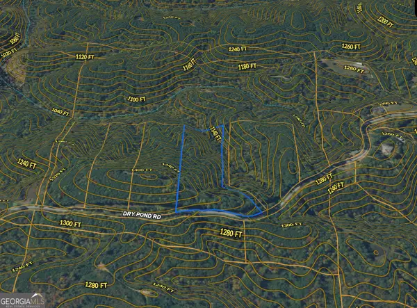 3 WEST Dry Pond Road #LOT 3 WEST, Ranger, GA 30734