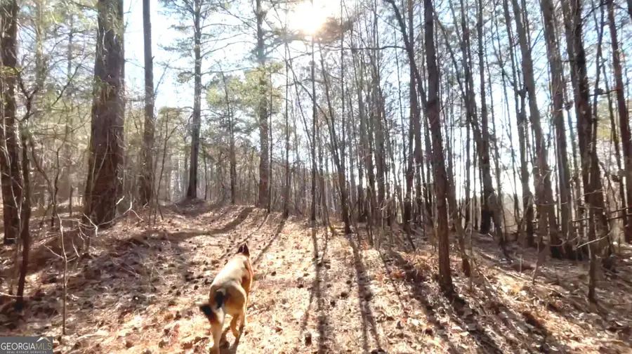 3 WEST Dry Pond Road #LOT 3 WEST, Ranger, GA 30734 - #2