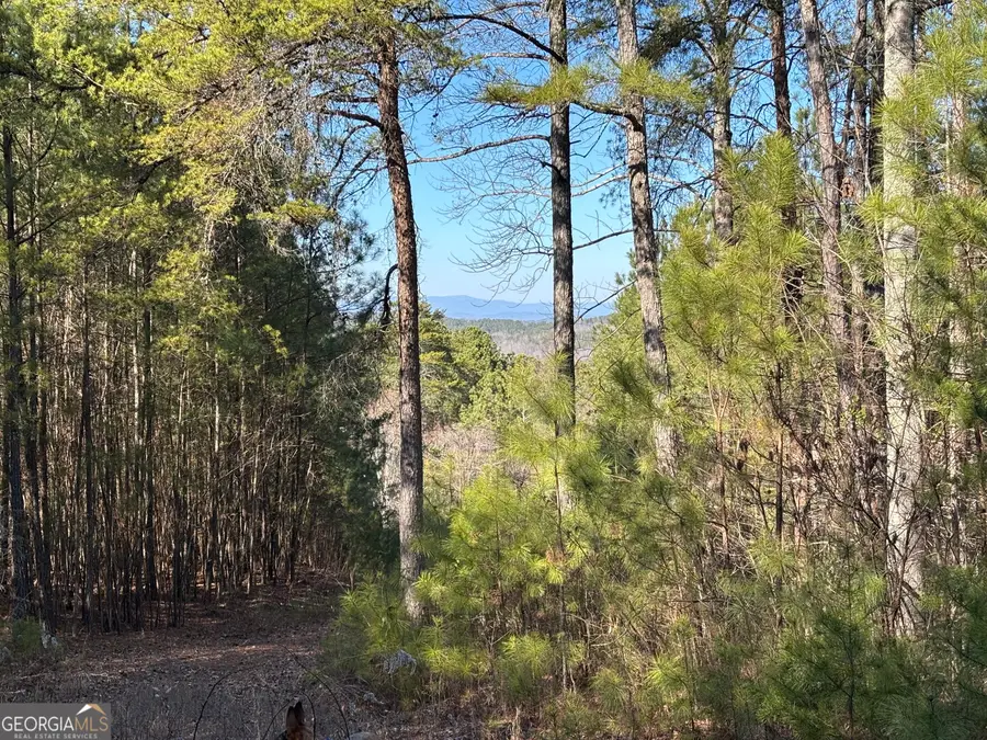 3 WEST Dry Pond Road #LOT 3 WEST, Ranger, GA 30734 - #3