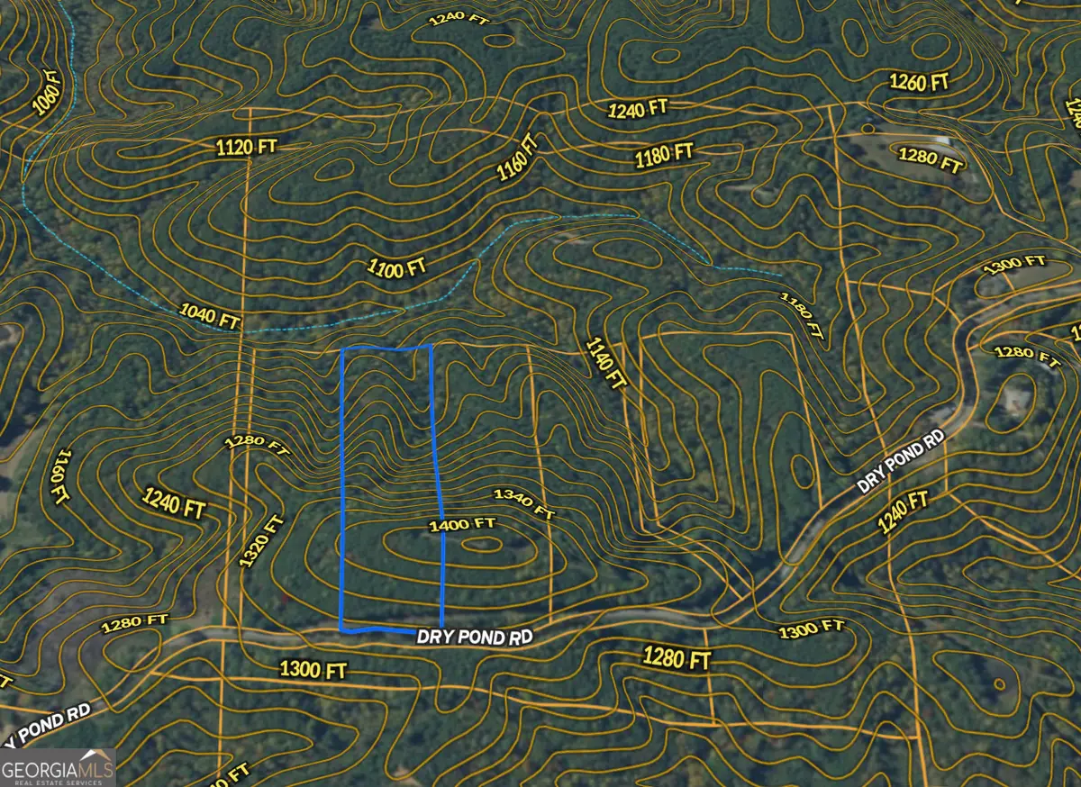 5 WEST Dry Pond Road #LOT 5 WEST, Ranger, GA 30734 - #1