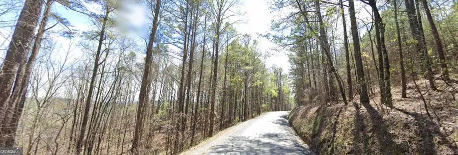 5 WEST Dry Pond Road #LOT 5 WEST, Ranger, GA 30734 - #2