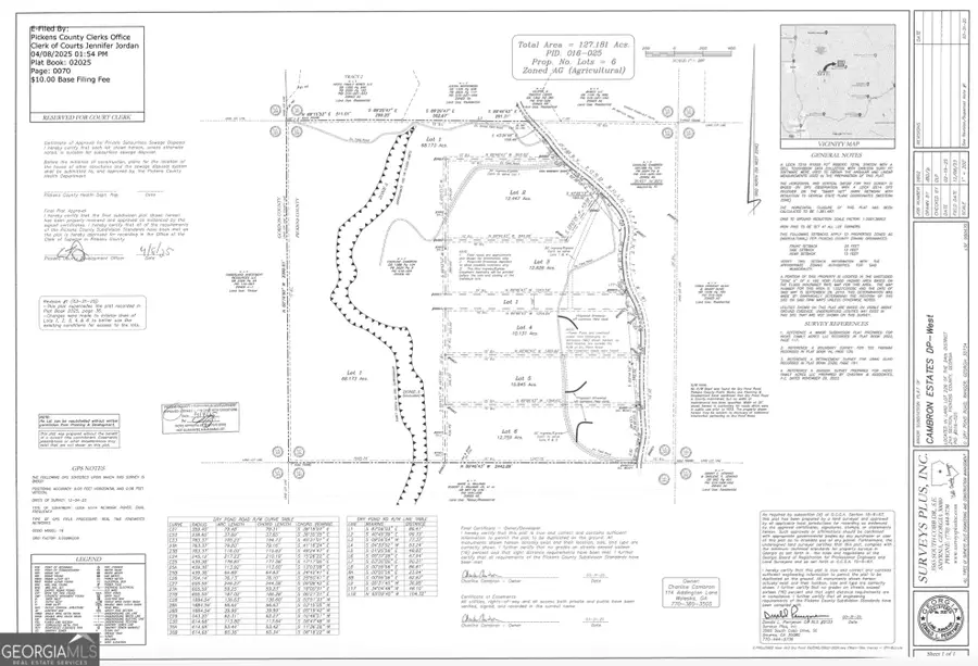 5 WEST Dry Pond Road #LOT 5 WEST, Ranger, GA 30734 - #3