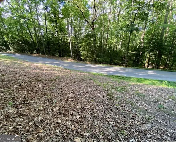 0 Hicks Gap Road, Blairsville, GA 30512 - #2