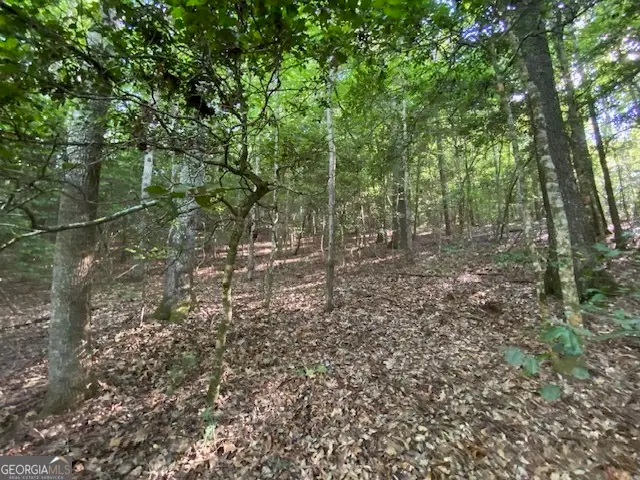 0 Hicks Gap Road, Blairsville, GA 30512 - #3
