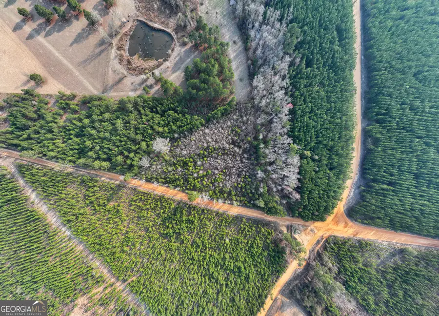 5.16+/- ACRES Joyner Oglesby Road #LOT 3, Sardis, GA 30456 - #3