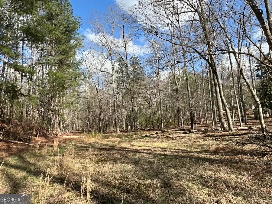 4360 Pool Road, Winston, GA 30187 - #2