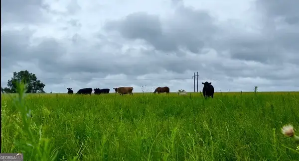 00 Lynntown Rd, Collins, GA 30421