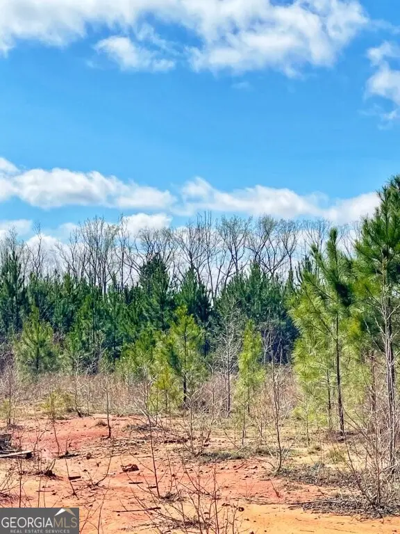 0 Brinkley Road, Barnesville, GA 30204 - #3