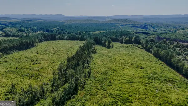 TRACT 1 Back Valley Road, Lyerly, GA 30730